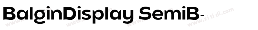BalginDisplay SemiB字体转换 BalginDisplay SemiB字体转换